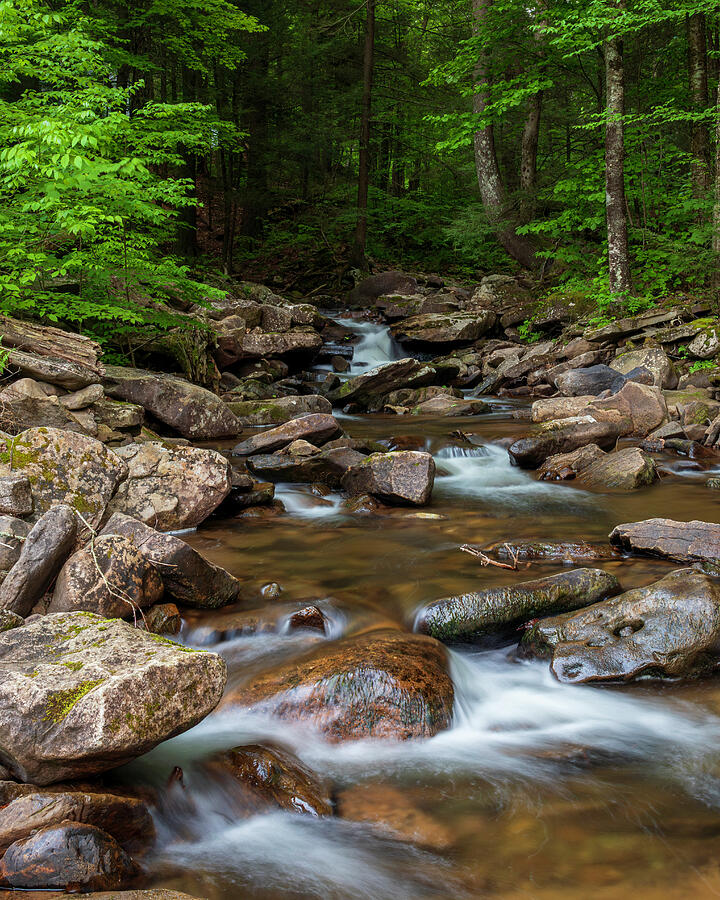 Ricketts Glen forest stream long exposure by Dan Sproul